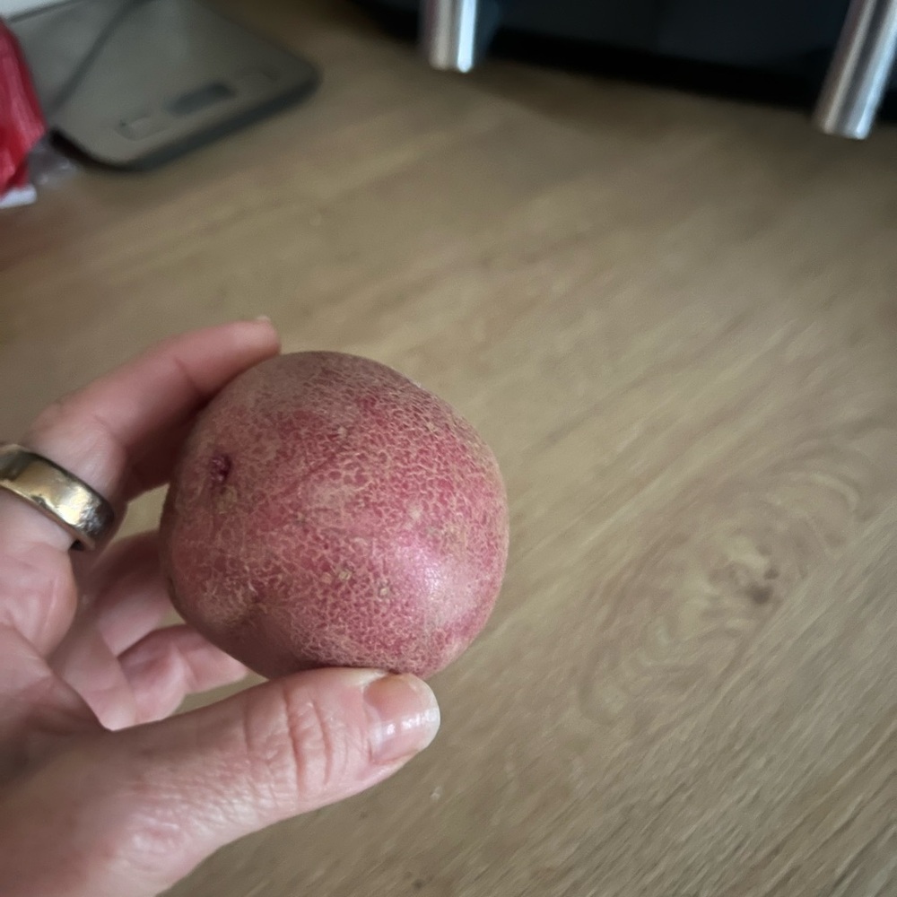 Red Potato